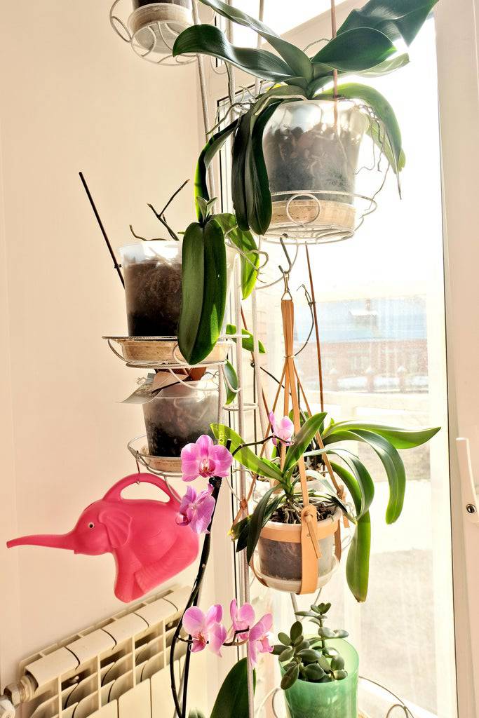 DIY Hanging Leather Planter