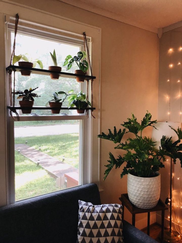Window Plant Shelf Hanging Plan