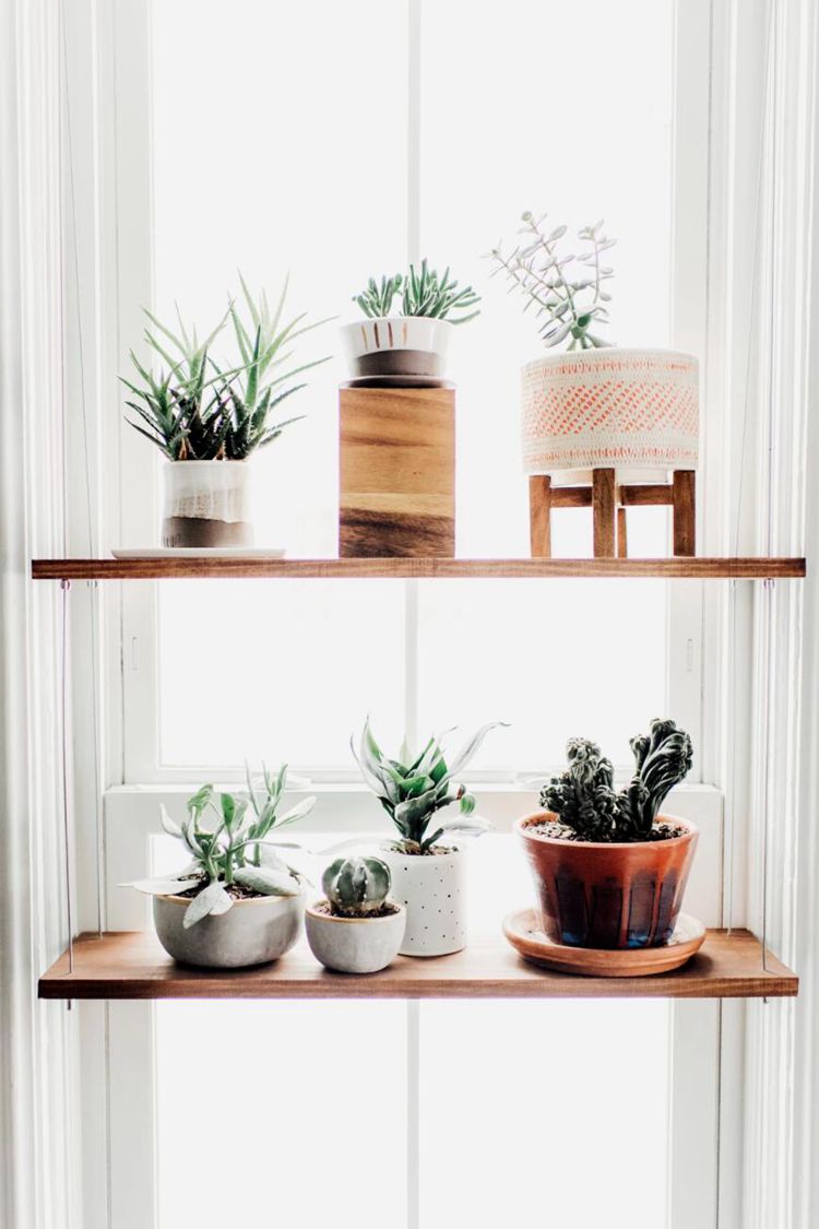 How To Make A Hanging Window Plant Shelf