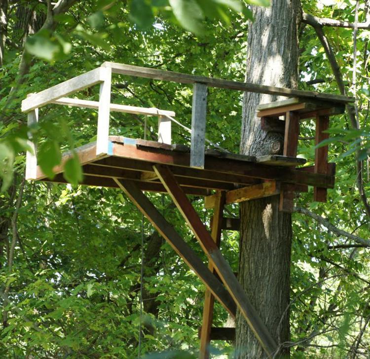 DIY Hunting Tree Stand