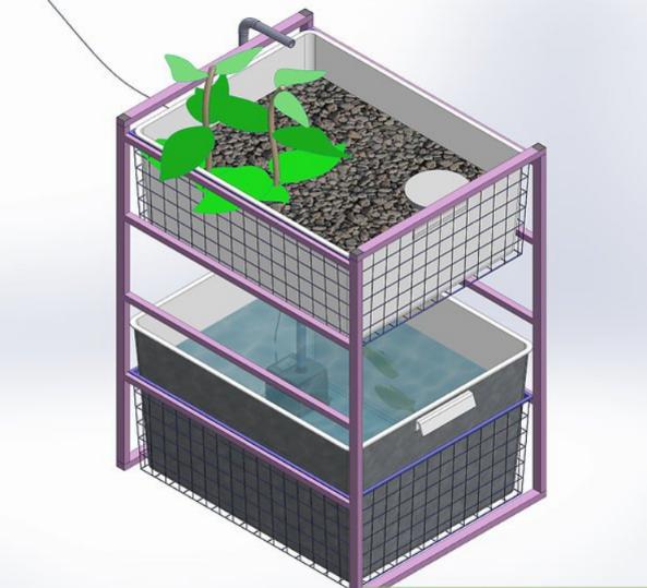 DIY Indoor Aquaponics System