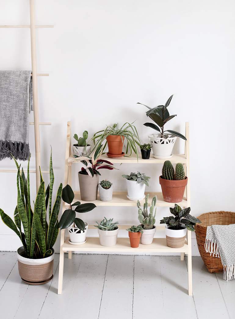 DIY Ladder Plant Stand