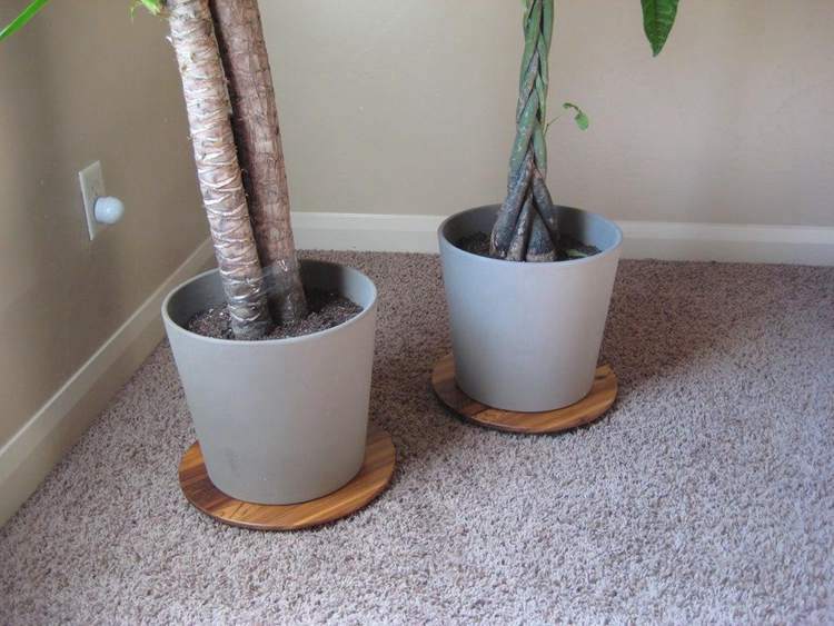 DIY Low Plant Stand