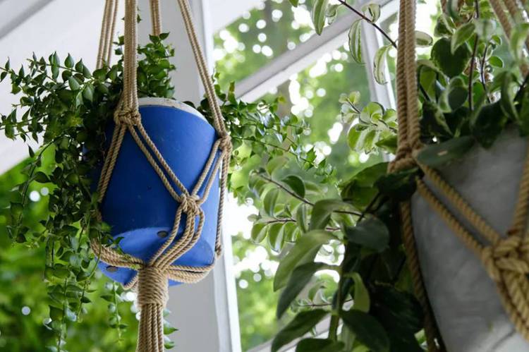 DIY Macrame Hanging Planter