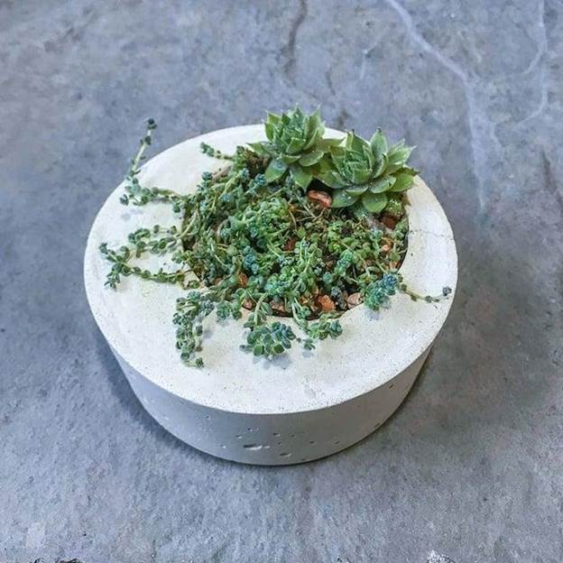 DIY Modern Concrete Planter