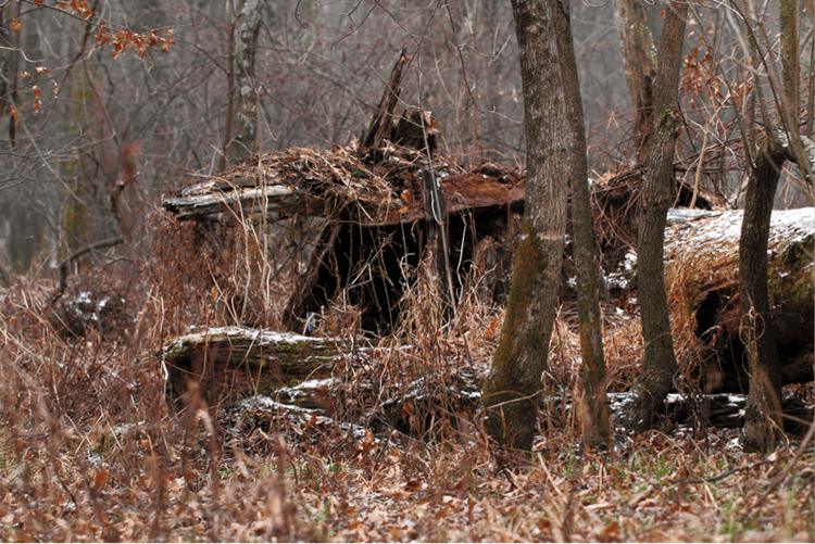 DIY Natural Deer Hunting Blind