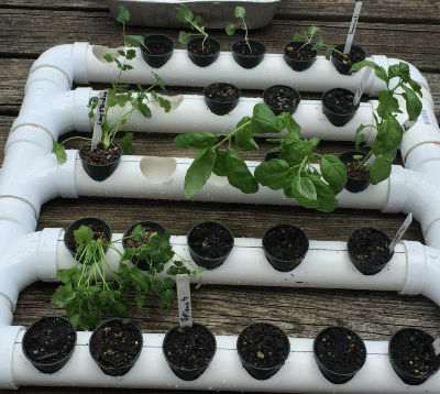 PVC Pipe Garden Planter Plan