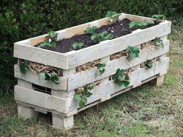 DIY Pallet Strawberry Planter