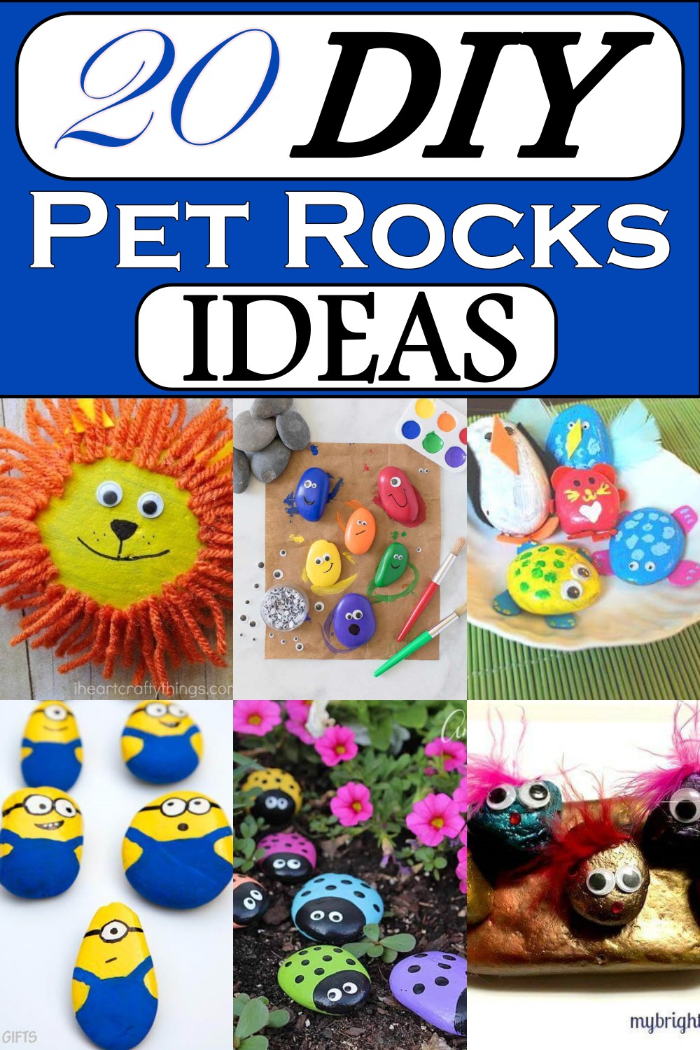DIY Pet Rocks Ideas
