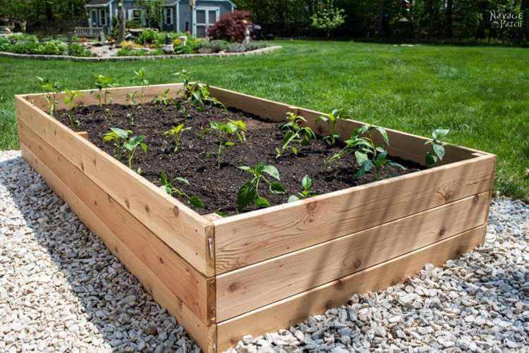 Raised Gardening Plan