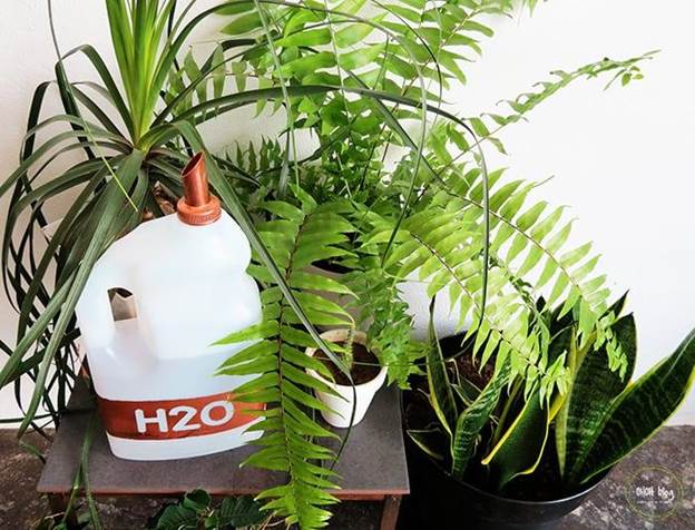 DIY Recycled Watering Can
