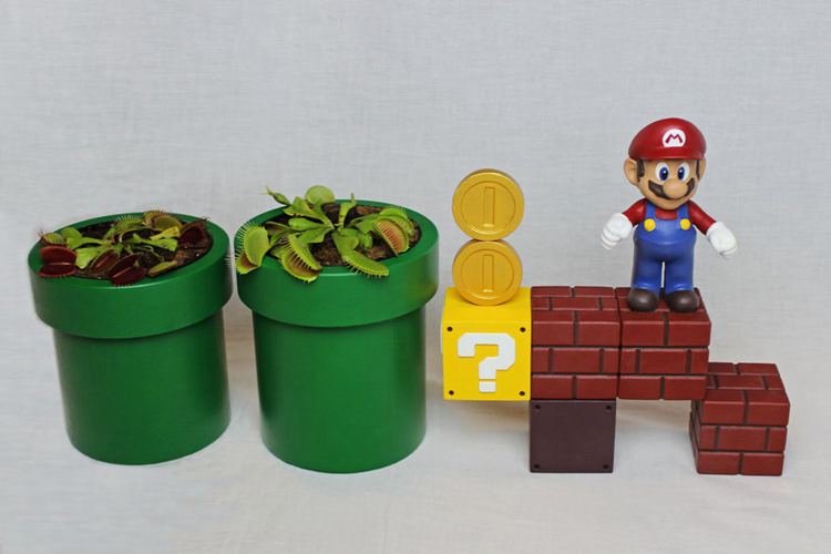 DIY Self Watering Mario Planters