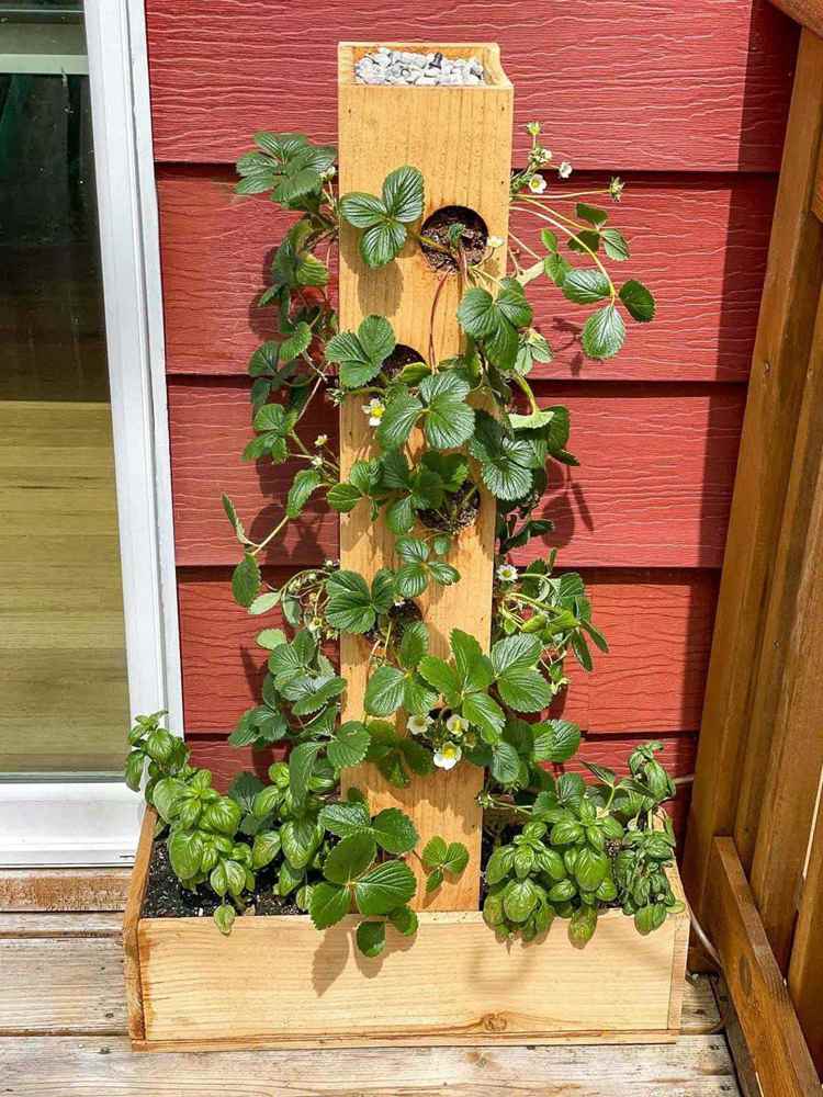 DIY Strawberry Planter