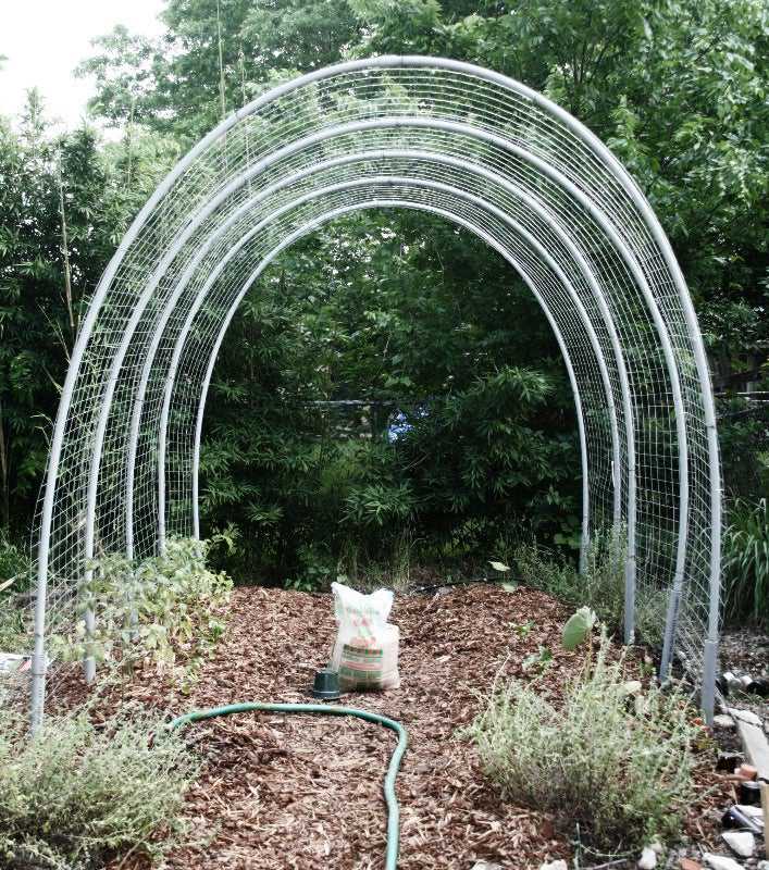 DIY Tomato Hoop House