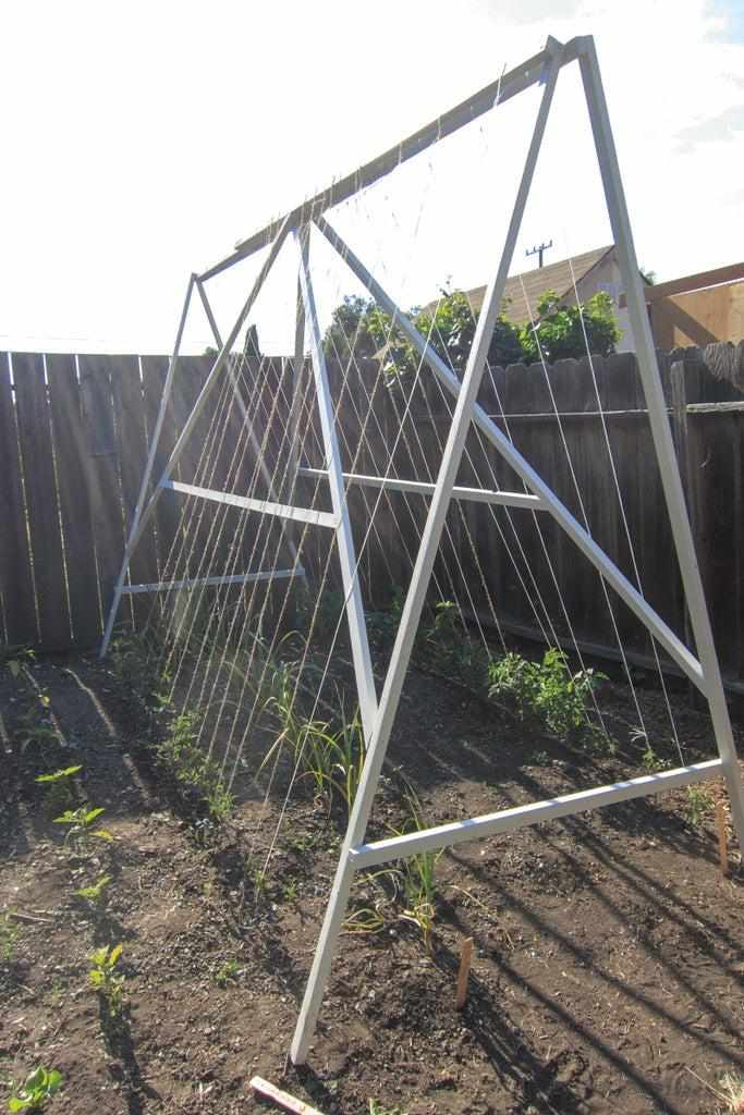 DIY Tomato Trellis