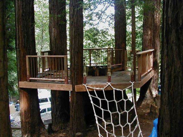 DIY Treehouse Build