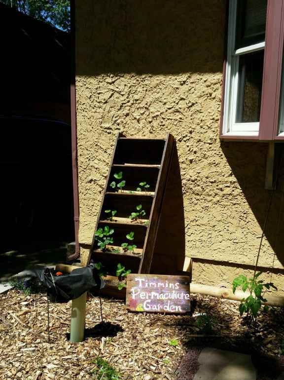 DIY Vertical Strawberry Planter From Reclaimed Ladder