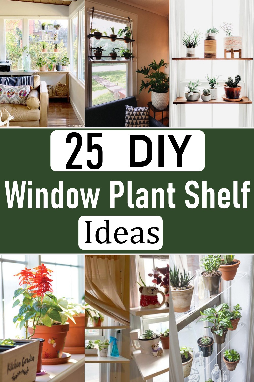  Window Plant Shelf: