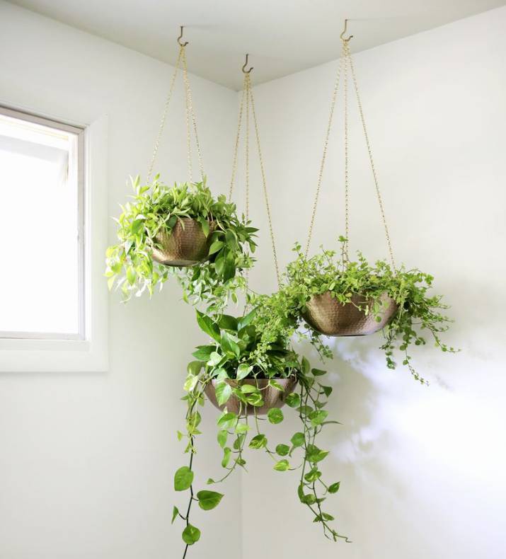 Easy Hanging Planter DIY