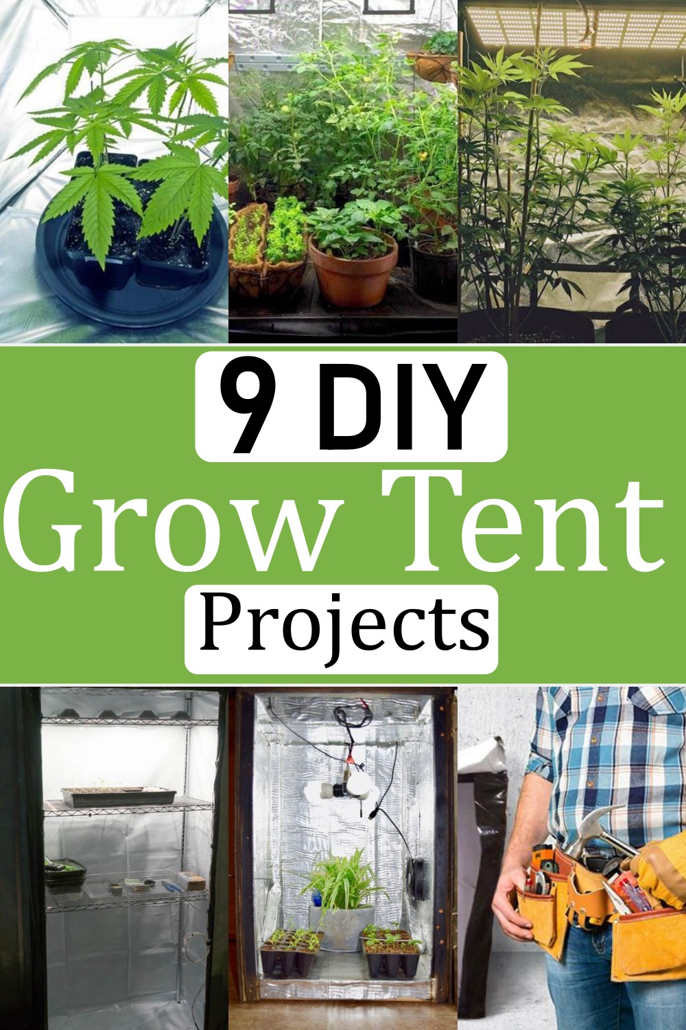 Grow Tent