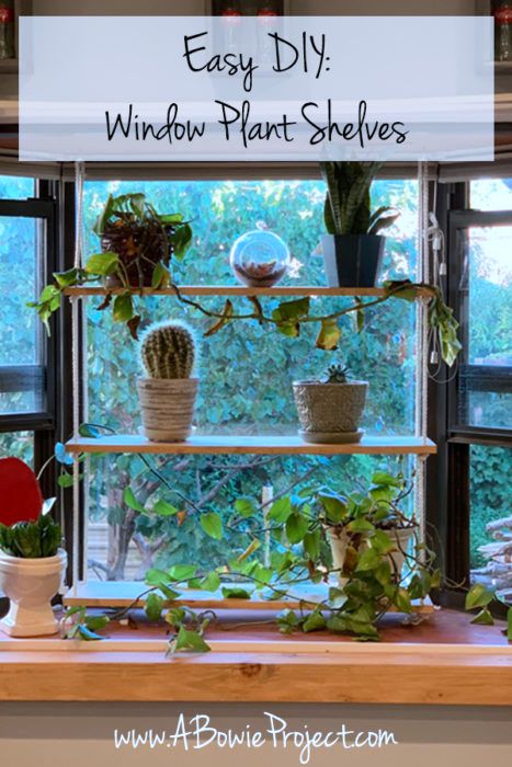 DIY Hanging Window Plant Shelves