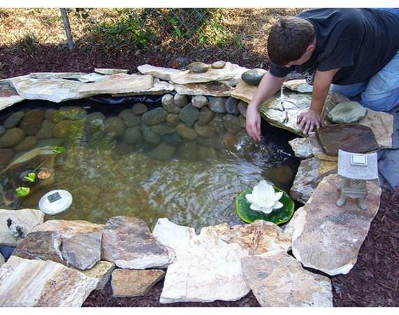 How To Build A Koi Pond