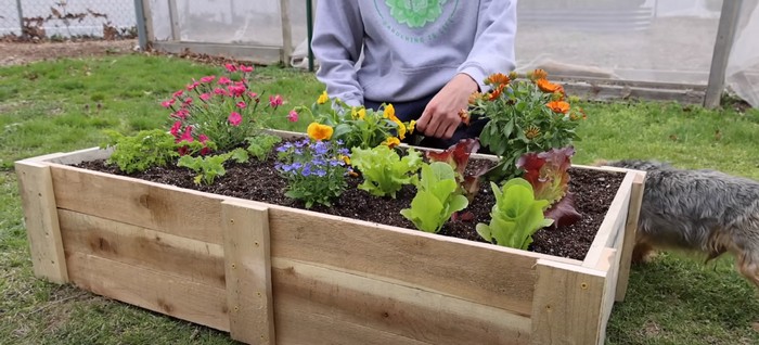 How To Build A Mini Raised Bed