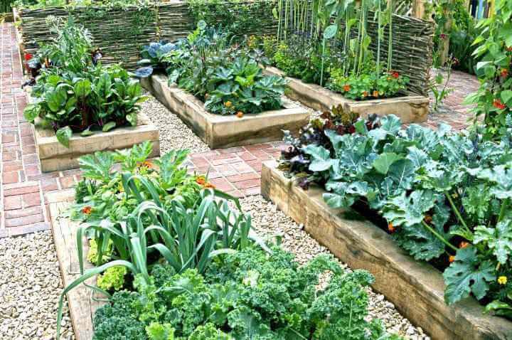 How To Build A Raised Garden Bed