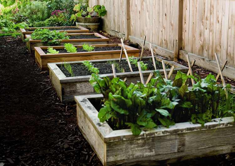 How To Build A plant Bed
