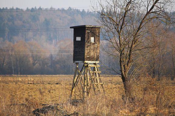 How To Build An Inexpensive Deer Blind