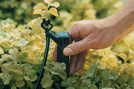 How To Install Drip Irrigation