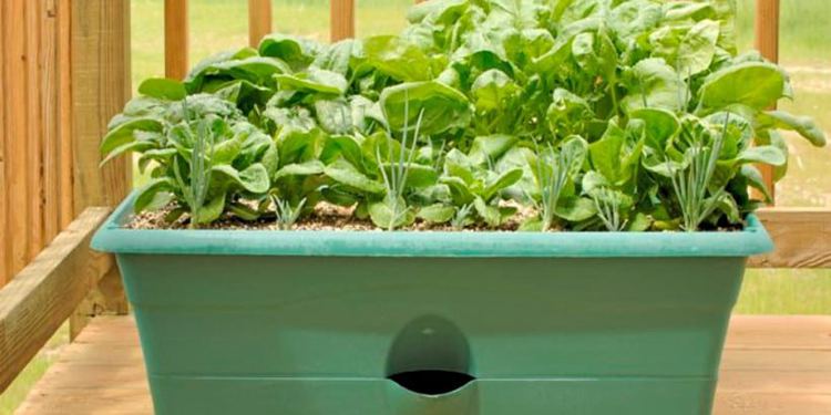 How To Make A Self Watering Planter