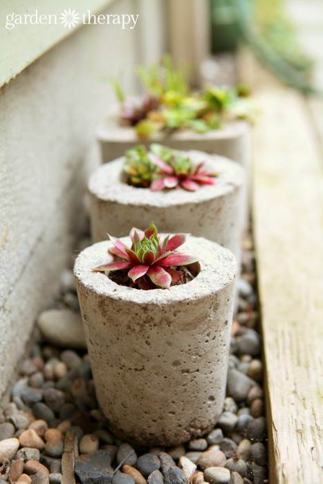 How To Make Concrete Planters