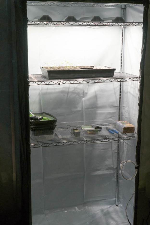 How to Build A Grow Tent Under $100