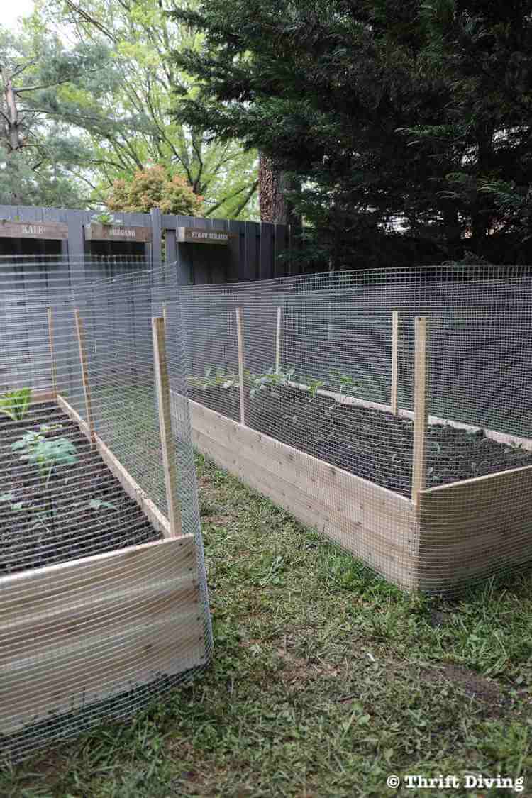 How to Build a plant growing floor around nets