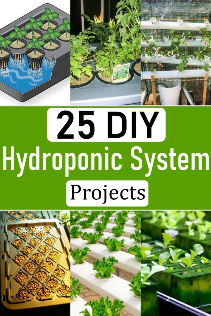 25 DIY Hydroponic System Projects Craftsy