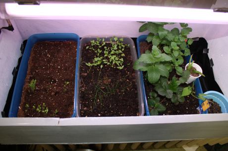 Indoor UV Grow Box
