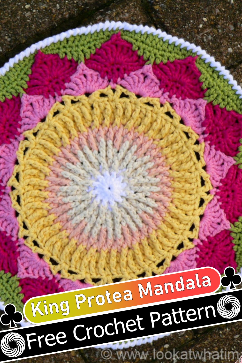 King Protea Crochet Mandala