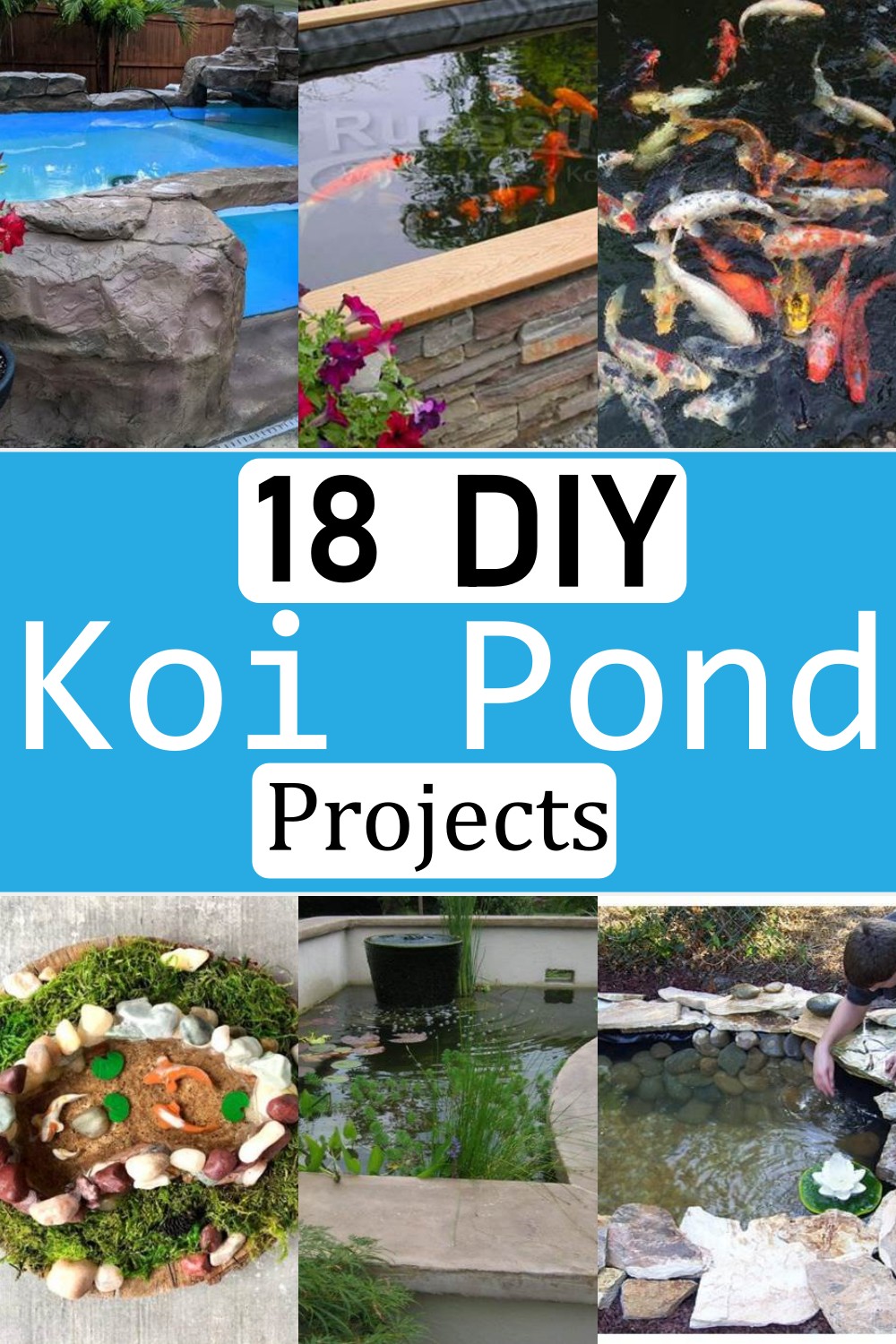  Koi Pond Projects 