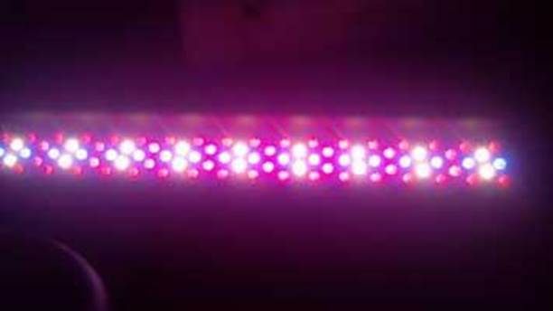 LED Grow Light Build