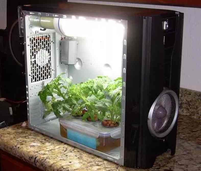 PC Casing Grow Box