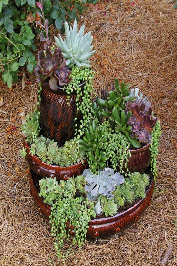 Picture Perfect Mini Succulent Tower