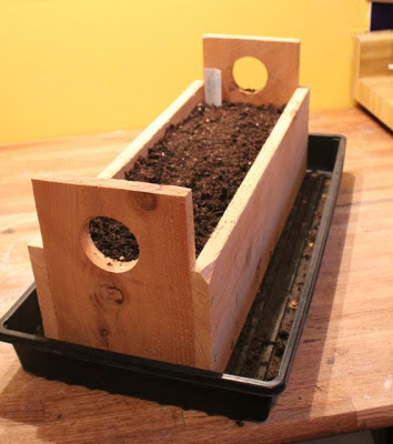 Portable Grow Box