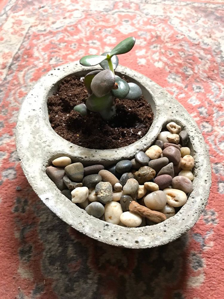 Self Watering Concrete Planter