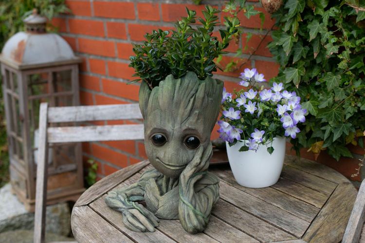 Self Watering Groot Planter