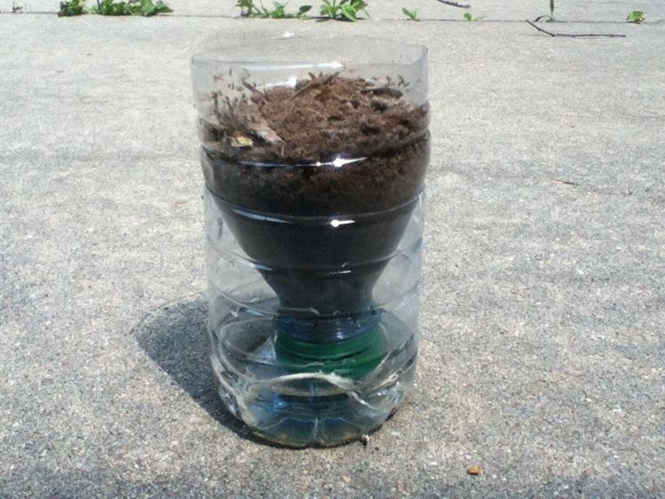 Self Watering Planter DIY