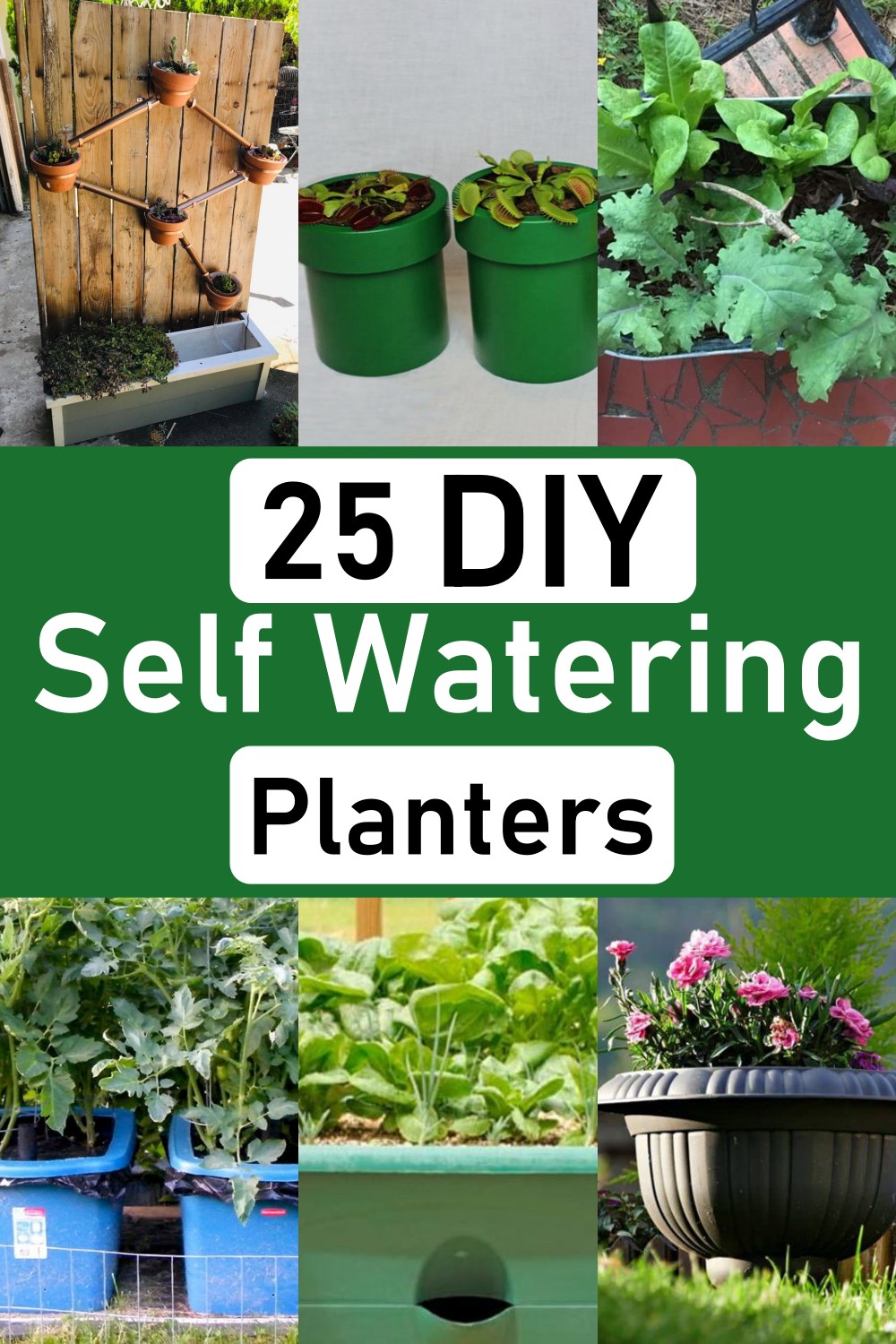 Self Watering Planters