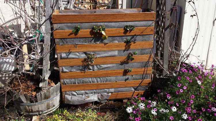 Simple Vertical Strawberry Planter DIY