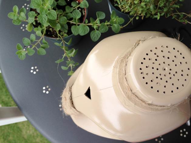 Sprayed DIY Watering Can