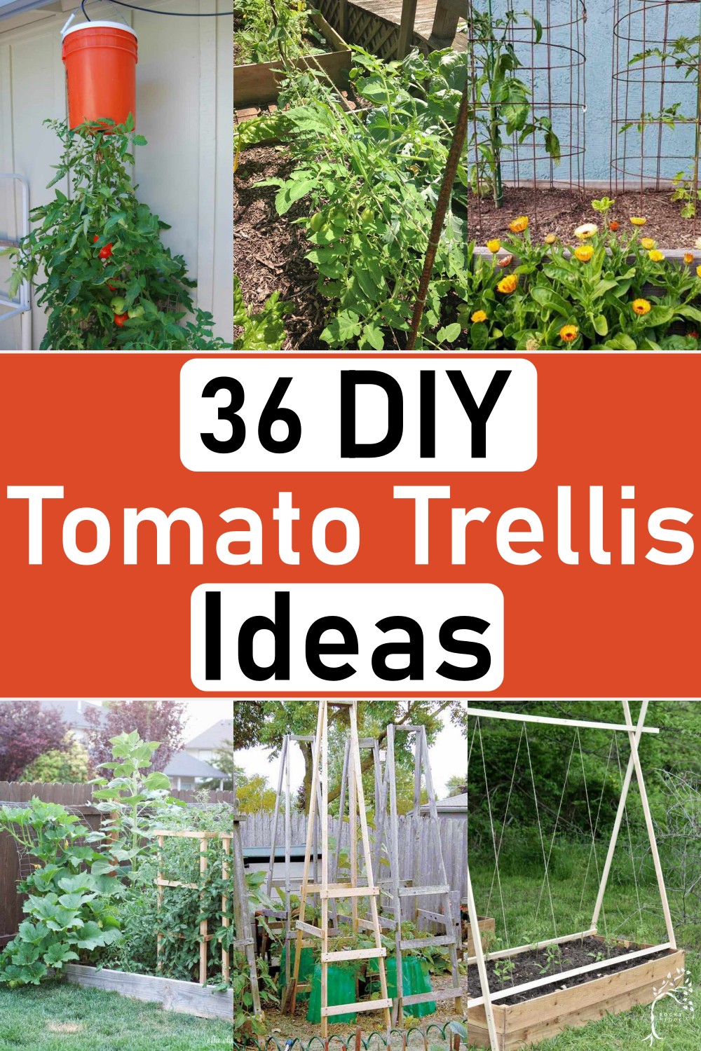 Tomato Trellis